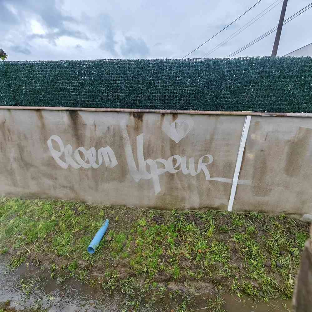 Nettoyage de façade - Avant