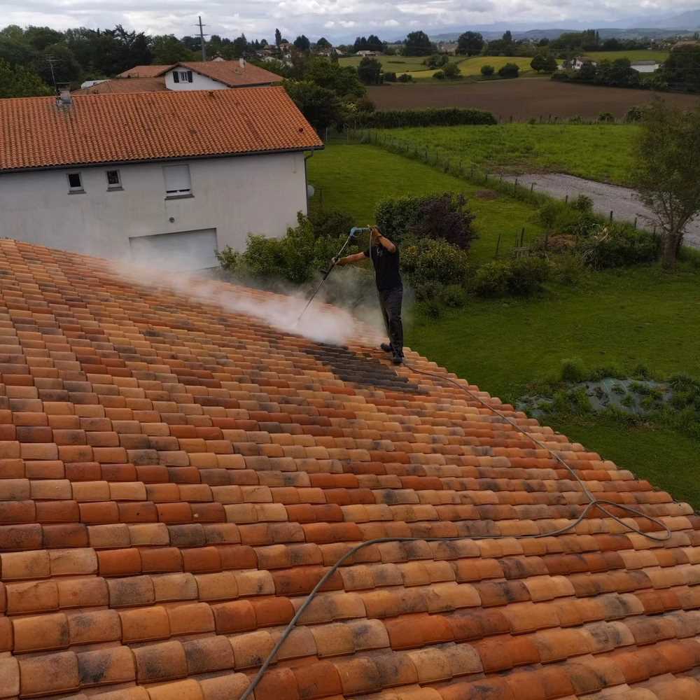 Nettoyage de toiture - Avant