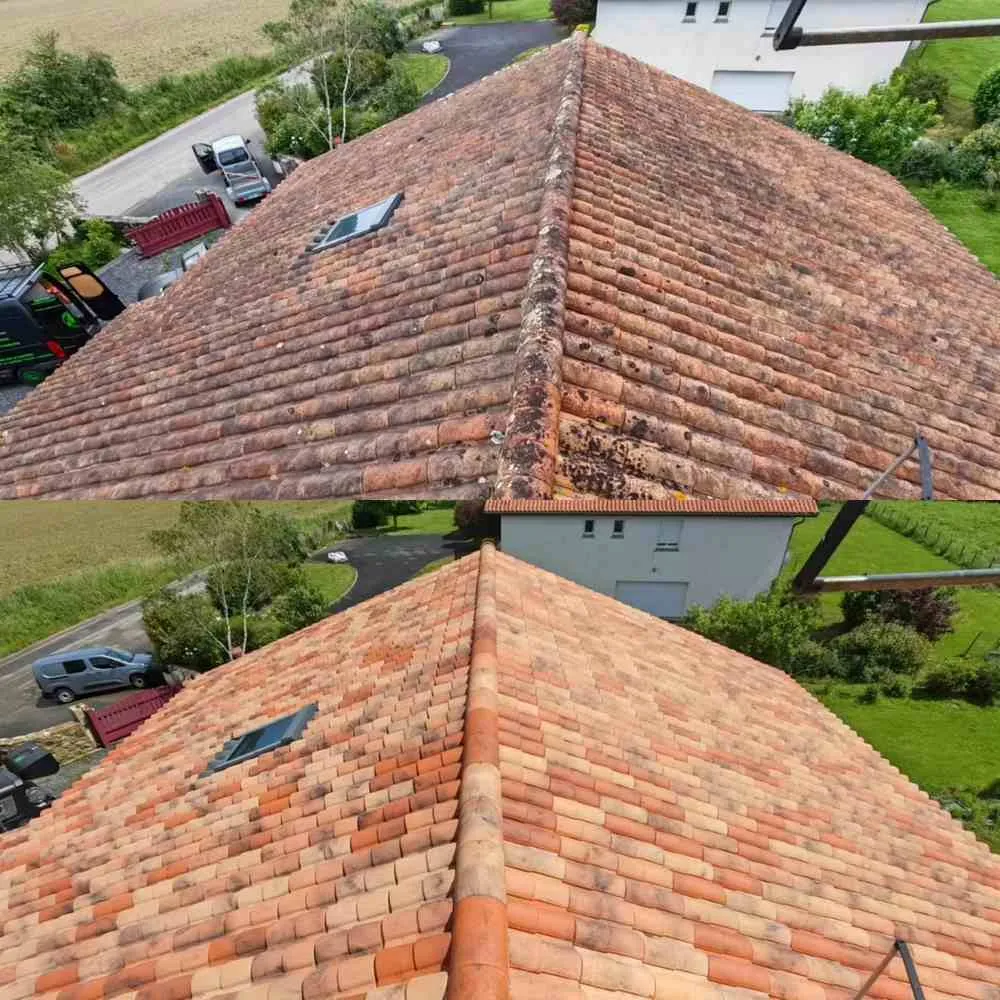 Nettoyage de toiture Pyrénées-Atlantiques - Green Vapeur