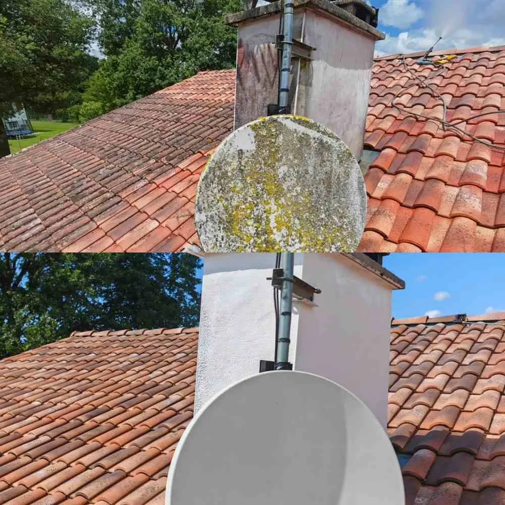 Galerie photos - Nettoyage de toiture - Photo 7